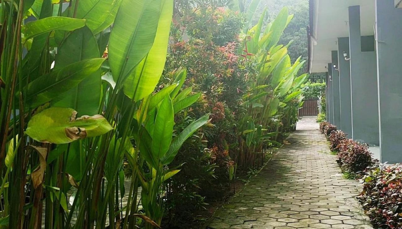 Oyo 2864 Mangsit Garden Homestay Exterior photo